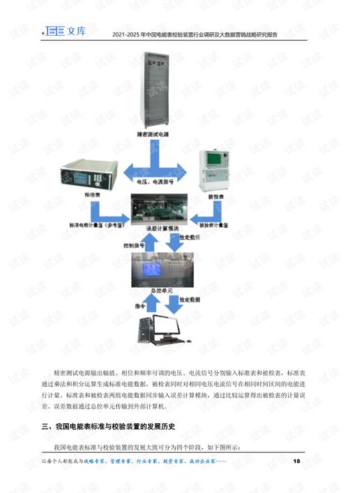 2021 2025年中国电能表校验装置行业调研及大数据营销战略研究报告.pdf